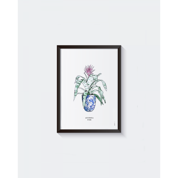 Poster Plant Aechmea pink A: A4 - 6 stuks Poster Plant Aechmea pink A: A4 - 6 stuks