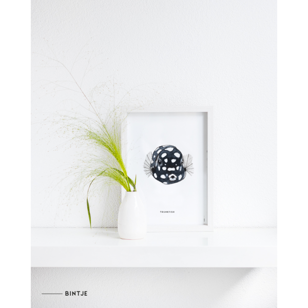 Poster Koffervis A: A4 - 6 stuks Poster Koffervis A: A4 - 6 stuks