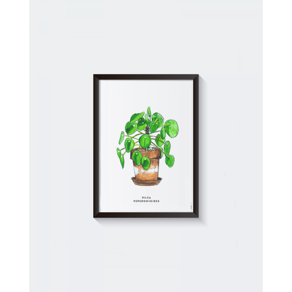 Poster Plant Pannenkoek A: A4 - 6 stuks Poster Plant Pannenkoek A: A4 - 6 stuks
