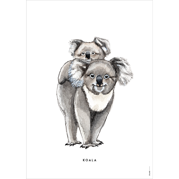 Poster Koala - 6 stuks Poster Koala - 6 stuks