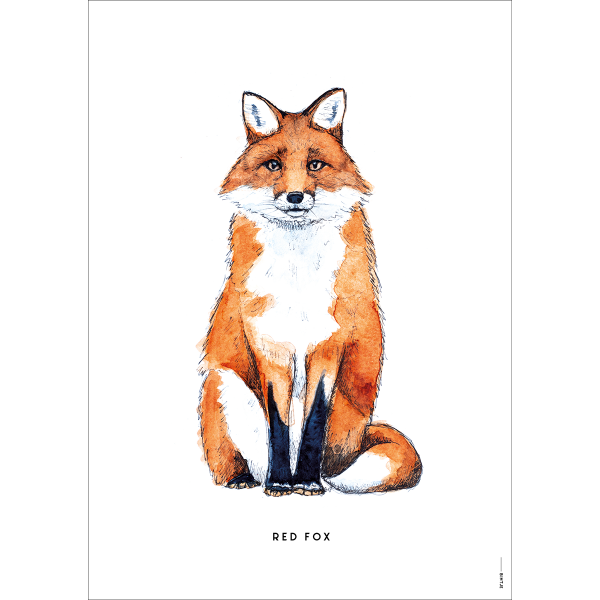 Poster Vos - 6 stuks Poster Vos - 6 stuks