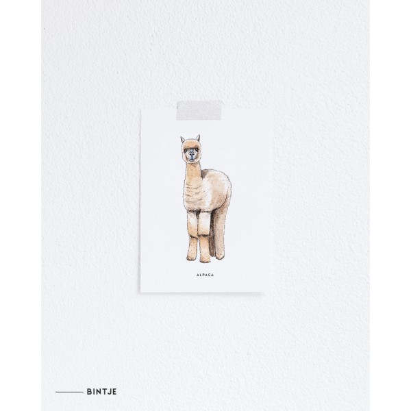 Ansichtkaart Alpaca - 10 stuks Ansichtkaart Alpaca - 10 stuks