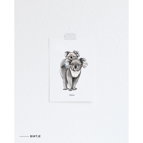 Ansichtkaart Koala - 10 stuks Ansichtkaart Koala - 10 stuks