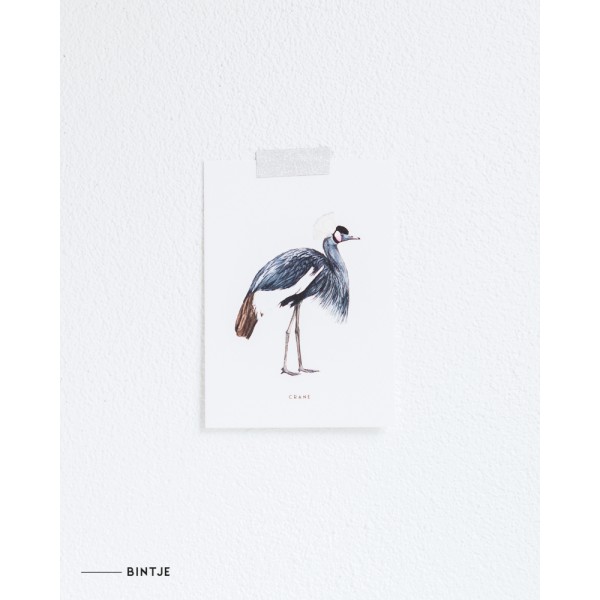 Ansichtkaart Kraanvogel - 10 stuks Ansichtkaart Kraanvogel - 10 stuks