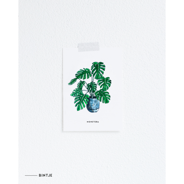 Ansichtkaart Plant Monstera - 10 stuks Ansichtkaart Plant Monstera - 10 stuks