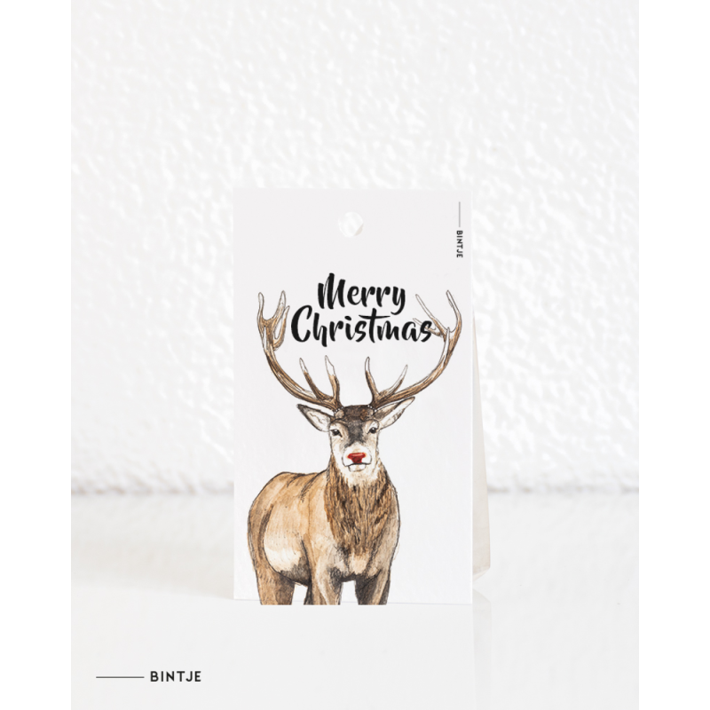 Cadeaukaartjes Kerst - 20 stuks