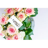 Cadeaukaartjes Struisvogel - 20 stuks