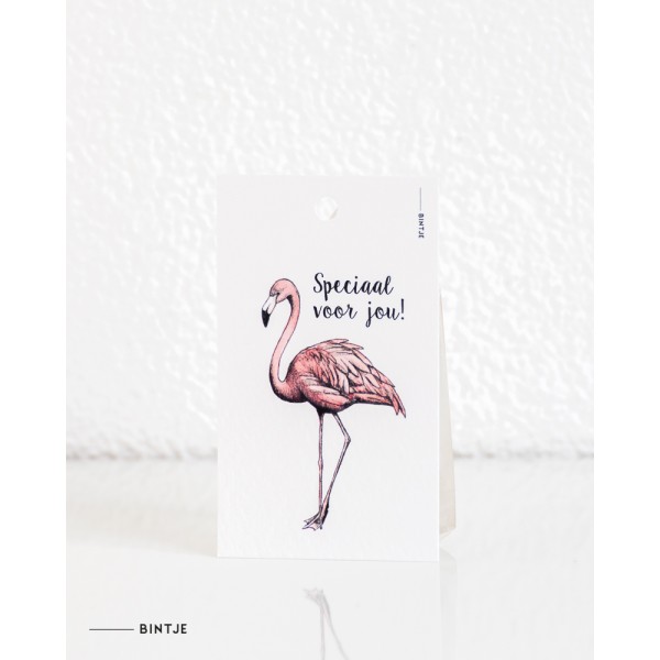 Cadeaukaartjes Flamingo - 20 stuks
