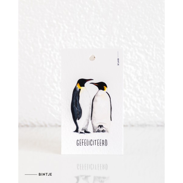 Cadeaukaartjes Pinguins - 20 stuks