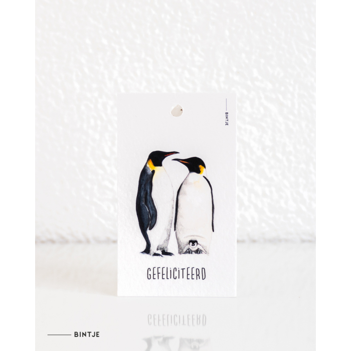 Cadeaukaartjes Pinguins - 20 stuks