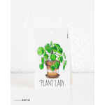 Gift tag Plant Pilea
