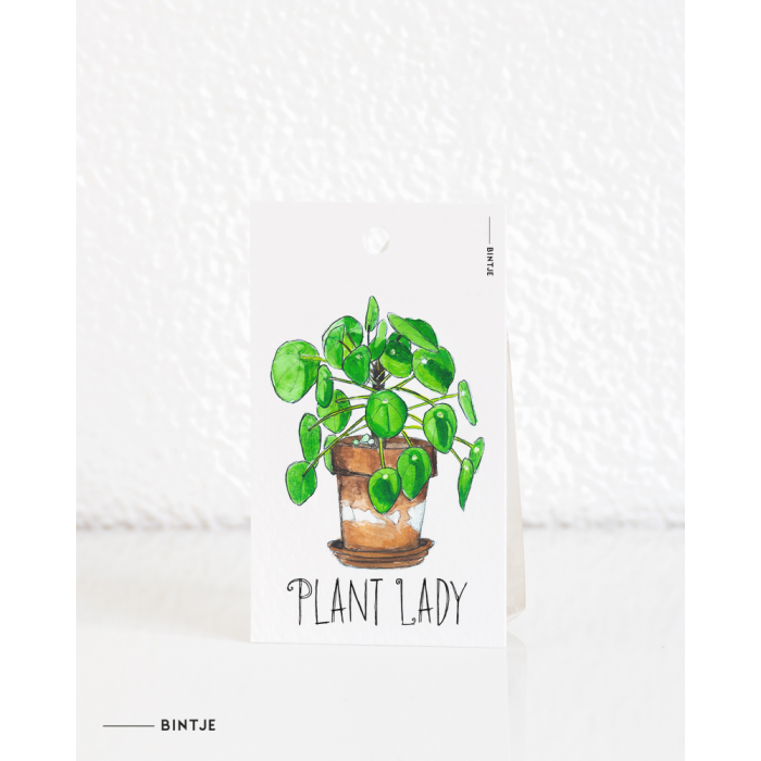 Cadeaukaartjes Plant Pilea - 20 stuks