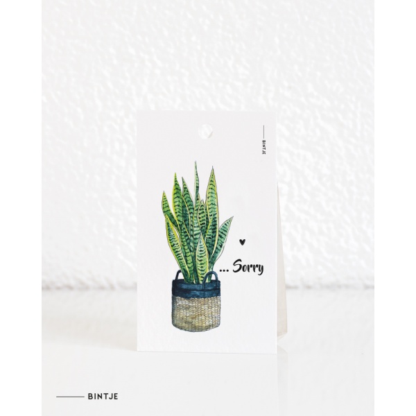 Cadeaukaartjes Plant Sorry - 20 stuks