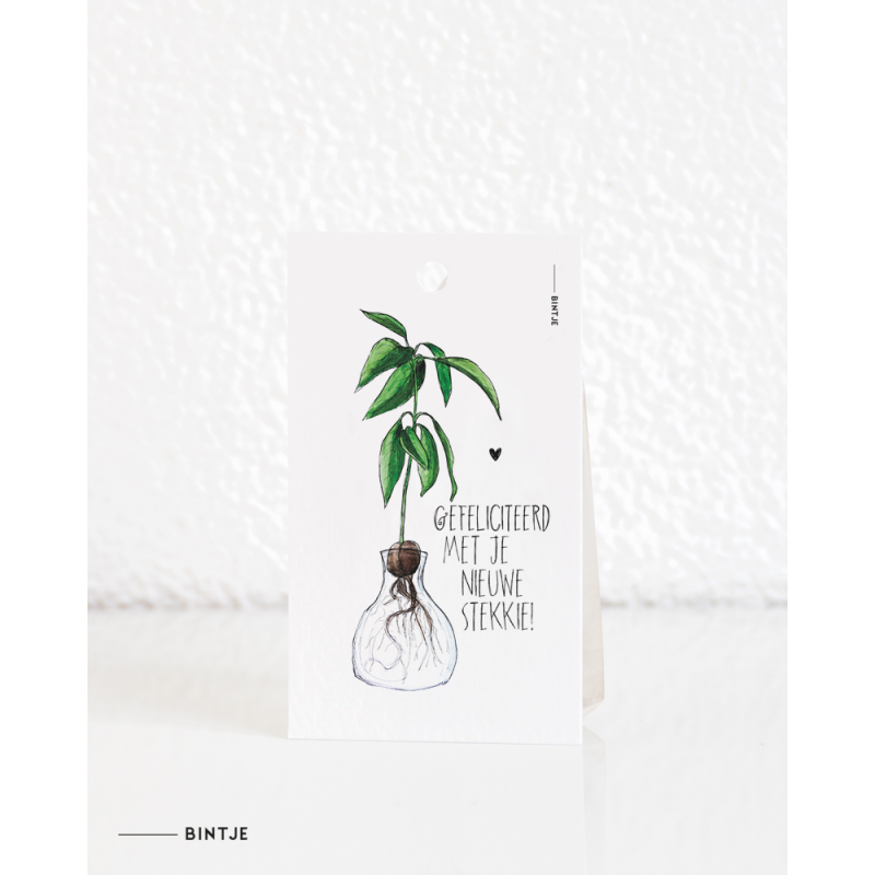 Gift tag Plant Stekkie