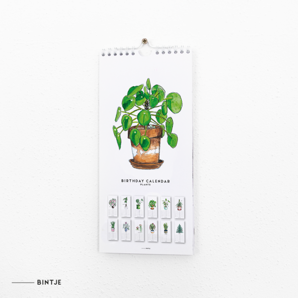 Verjaardagskalender planten - 6 stuks Verjaardagskalender planten - 6 stuks
