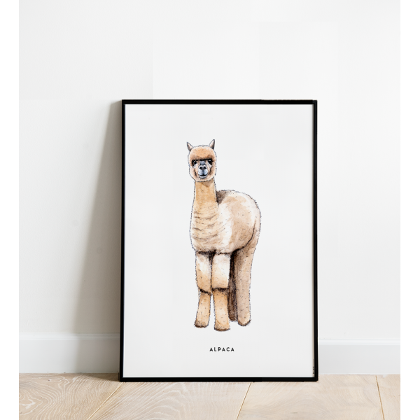 Poster Alpaca B: 30x40 - 5 stuks Poster Alpaca B: 30x40 - 5 stuks