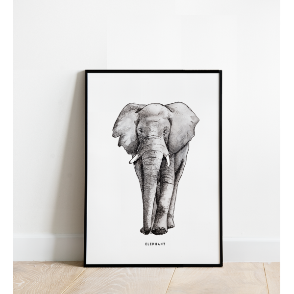 Poster Olifant B: 30x40 - 5 stuks Poster Olifant B: 30x40 - 5 stuks
