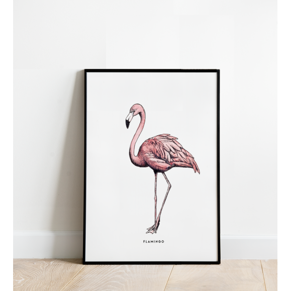 Poster Flamingo - 6 stuks Poster Flamingo - 6 stuks
