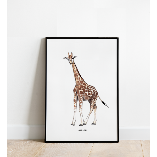Poster Giraf B: 30x40 - 5 stuks Poster Giraf B: 30x40 - 5 stuks