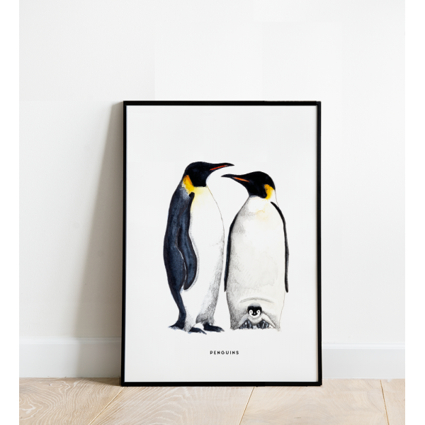 Poster Pinguins B: 30x40 - 5 stuks Poster Pinguins B: 30x40 - 5 stuks