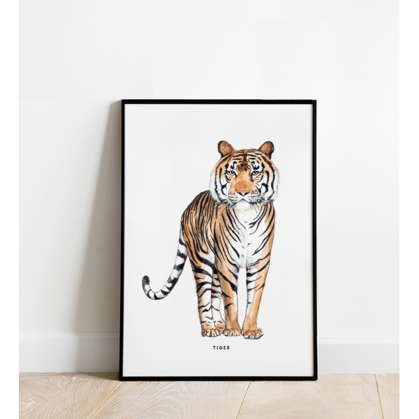 Poster Tijger B: 30x40 - 5 stuks Poster Tijger B: 30x40 - 5 stuks