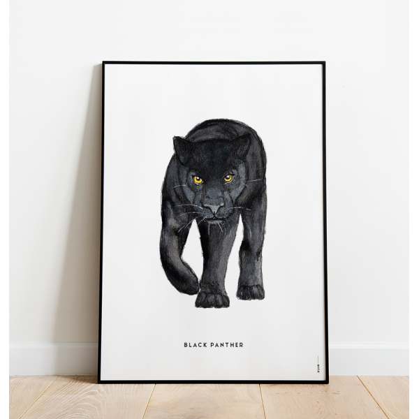 Poster Zwarte panter C: 50x70 - 6 stuks Poster Zwarte panter C: 50x70 - 6 stuks