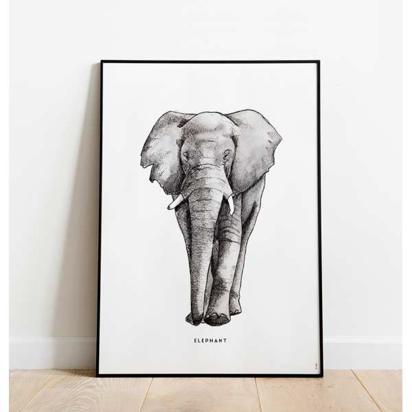 Poster Olifant C: 50x70 - 5 stuks Poster Olifant C: 50x70 - 5 stuks