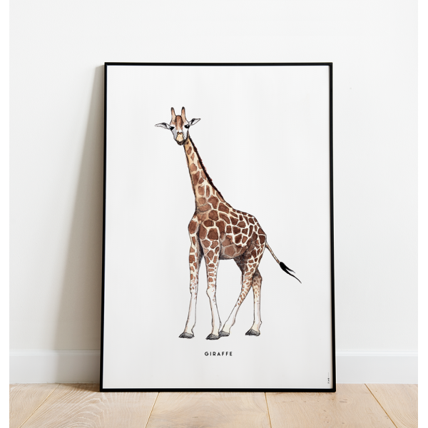 Poster Giraf C: 50x70 - 5 stuks Poster Giraf C: 50x70 - 5 stuks