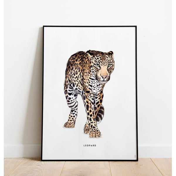 Poster Luipaard C: 50x70 - 6 stuks DE LAATSTE Poster Luipaard C: 50x70 - 6 stuks DE LAATSTE