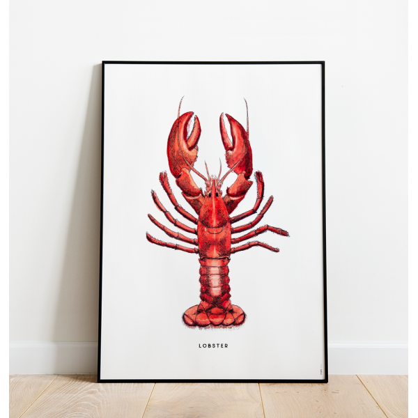 Poster Kreeft C: 50x70 - 6 stuks Poster Kreeft C: 50x70 - 6 stuks