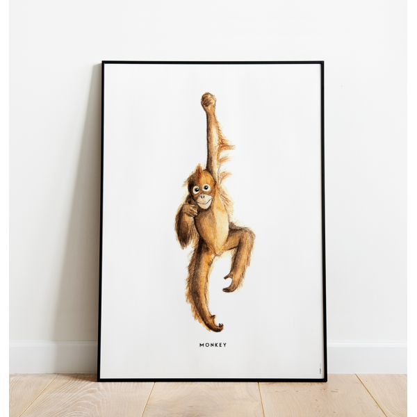 Poster Aap C: 50x70 - 6 stuks Poster Aap C: 50x70 - 6 stuks
