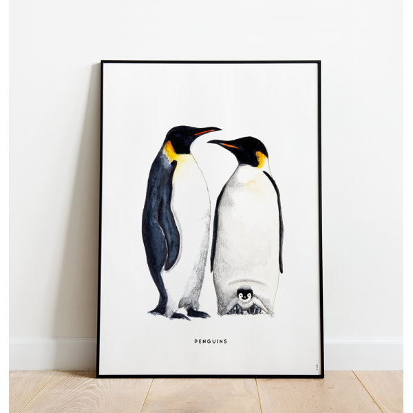 Poster Pinguins C: 50x70 - 6 stuks Poster Pinguins C: 50x70 - 6 stuks