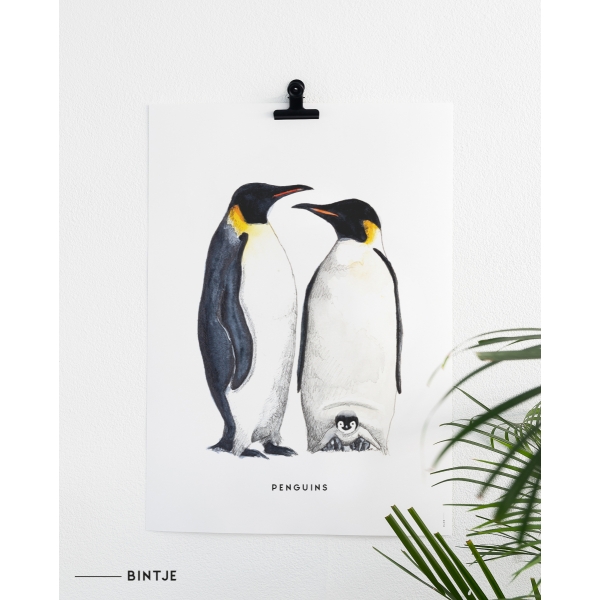Poster 50x70 Pinguins - 5 stuks Poster 50x70 Pinguins - 5 stuks