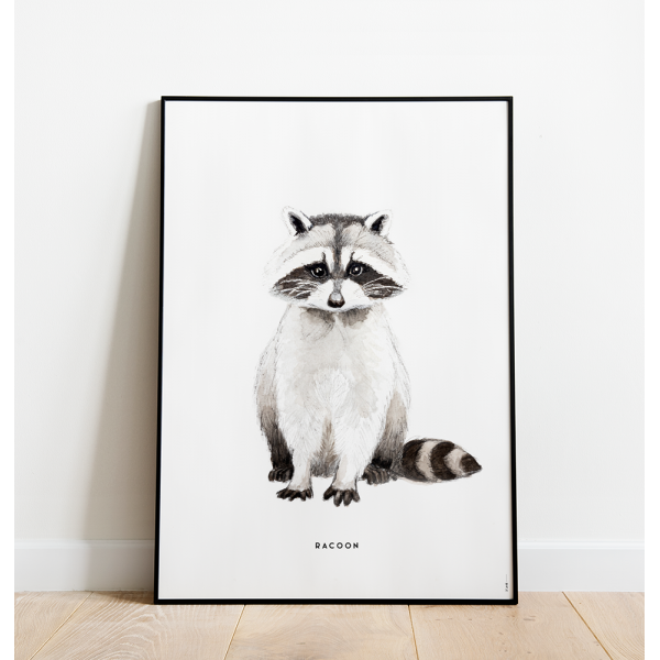 Poster Wasbeer C: 50x70 - 6 stuks Poster Wasbeer C: 50x70 - 6 stuks