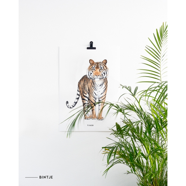 Poster 50x70 Tijger - 5 stuks Poster 50x70 Tijger - 5 stuks