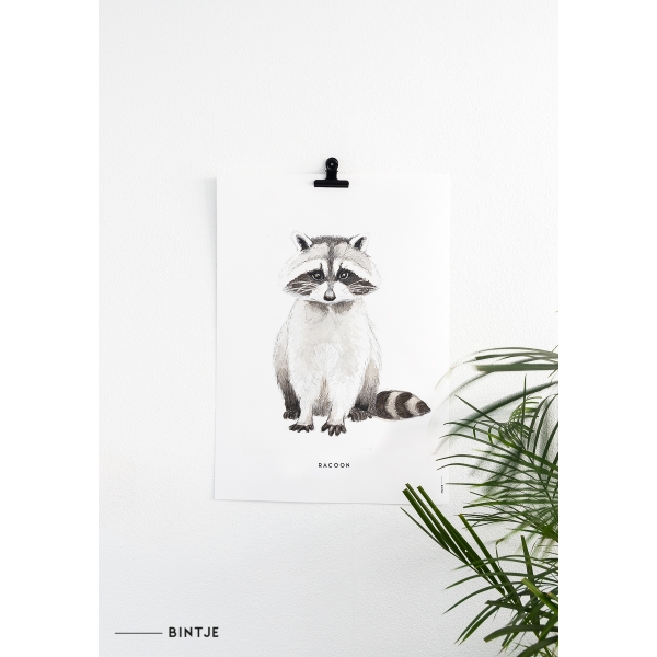 Poster 50x70 Wasbeer - 5 stuks Poster 50x70 Wasbeer - 5 stuks