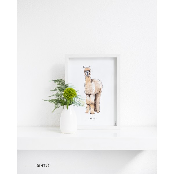 Poster Alpaca A: 6 stuks DE LAATSTE Poster Alpaca A: 6 stuks DE LAATSTE