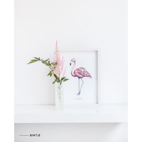 Poster Flamingo A: A4 - 6 stuks Poster Flamingo A: A4 - 6 stuks