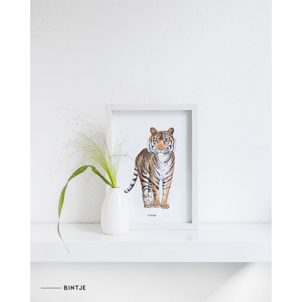 Poster Tijger A: A4 - 6 stuks Poster Tijger A: A4 - 6 stuks