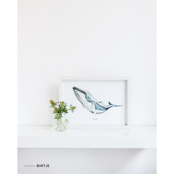Poster Walvis A4 - 5 stuks Poster Walvis A4 - 5 stuks