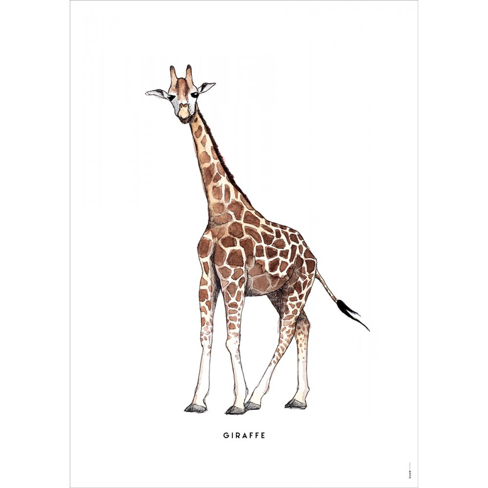BINTJE-poster-Giraf-1000x1000.png