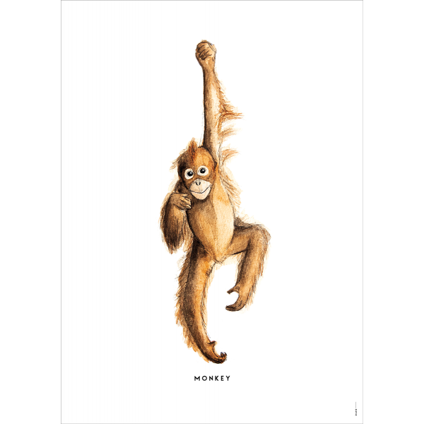 Poster Aap - 6 stuks Poster Aap - 6 stuks