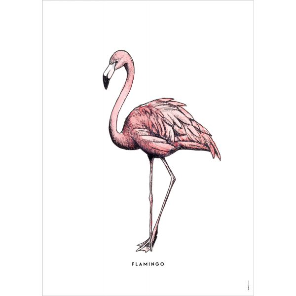 Poster Flamingo - 6 stuks Poster Flamingo - 6 stuks