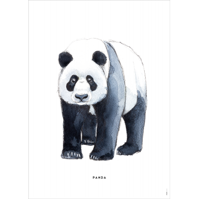 Poster Panda - 6 stuks