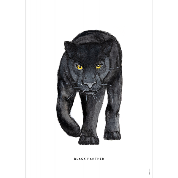 Poster Zwarte panter - 6 stuks Poster Zwarte panter - 6 stuks