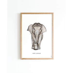 Mini poster Baby elephant 15x20 6 st