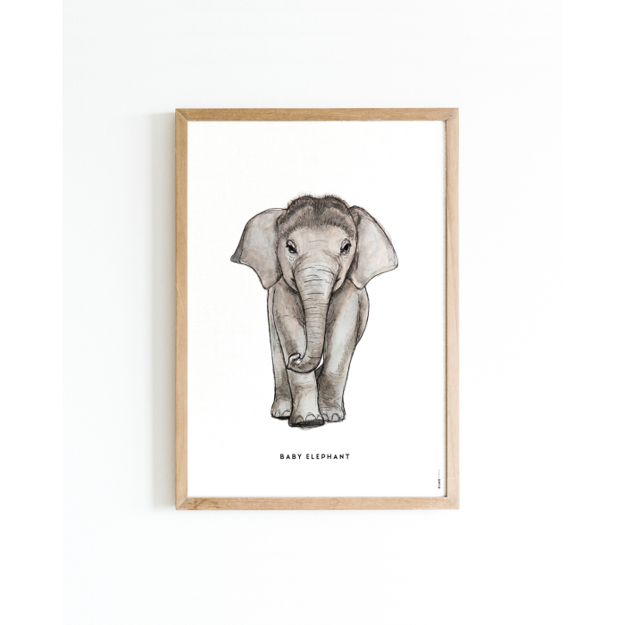 Mini poster Baby olifant 15x20 6 st
