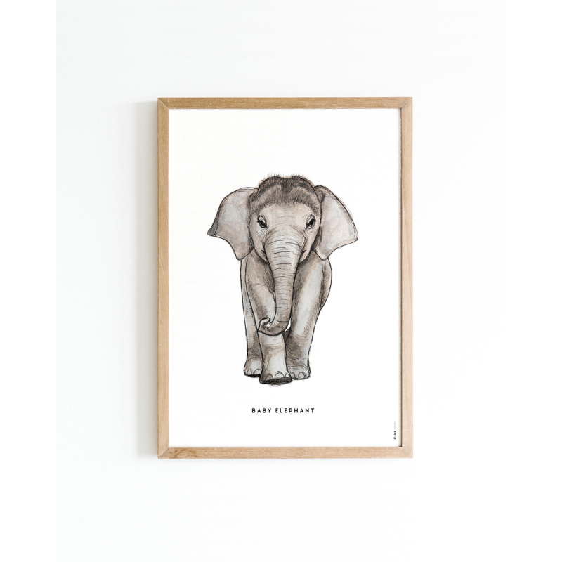 Mini poster Baby elephant 15x20 6 st