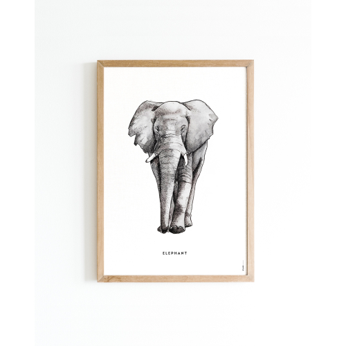 Poster Elephant A4 6 st.