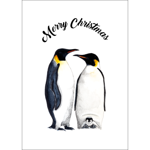 A. Postcard Christmas Penguins - 10 pieces